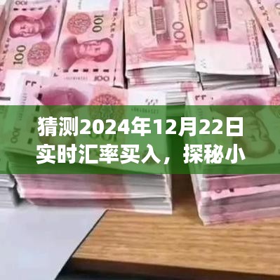 探秘小巷深处的汇率宝藏，预测2024年汇率走势与特色小店的神秘交易日