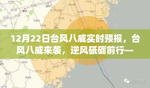 台风八威来袭，逆风砥砺前行，实时预报与学习成长之旅