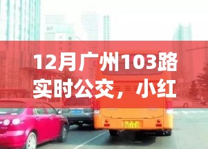 揭秘广州公交新体验，小红书推荐下的广州公交103路实时动态（12月版）