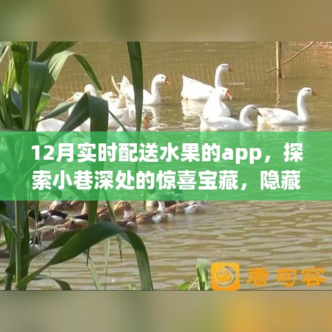 探索小巷深处的鲜果宝藏，12月实时配送水果APP惊喜上线