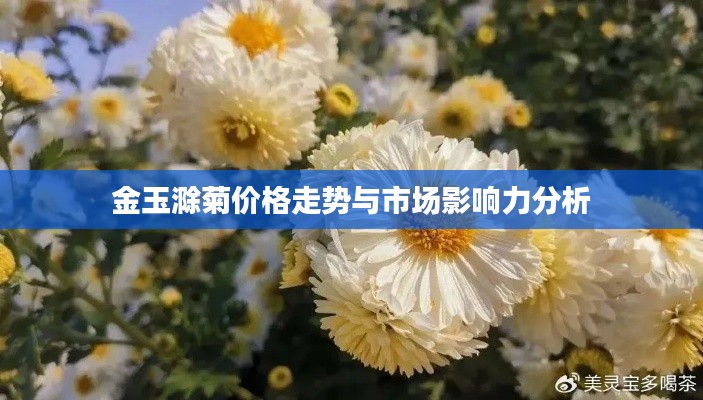 金玉滁菊价格走势与市场影响力分析