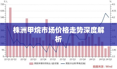 株洲甲烷市场价格走势深度解析