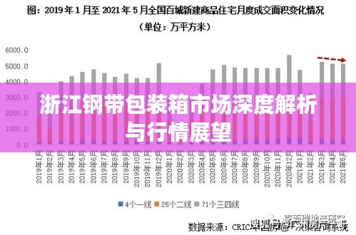 浙江钢带包装箱市场深度解析与行情展望