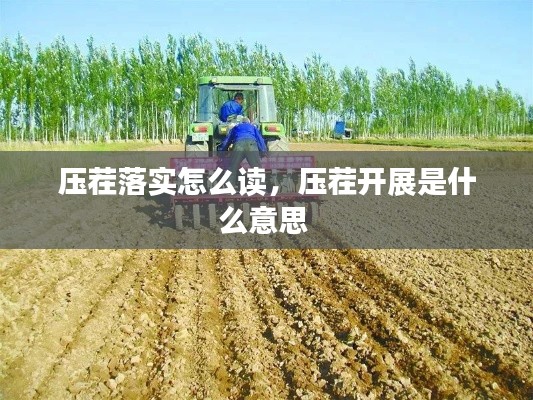 压茬落实怎么读，压茬开展是什么意思 