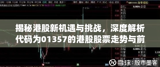 揭秘港股新机遇与挑战，深度解析代码为01357的港股股票走势与前景分析