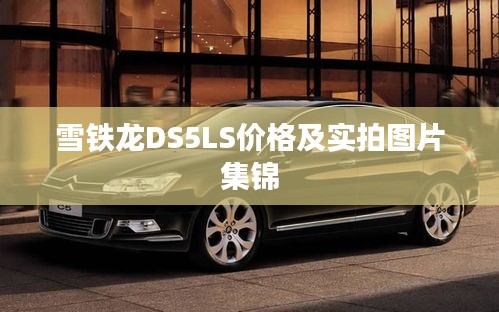 雪铁龙DS5LS价格及实拍图片集锦