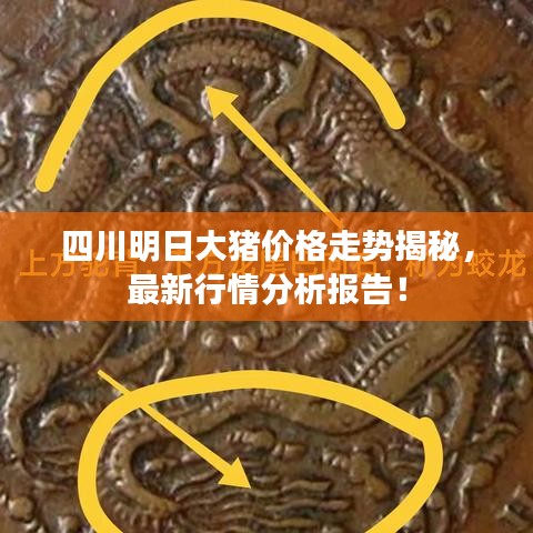 四川明日大猪价格走势揭秘，最新行情分析报告！