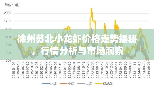 徐州苏北小龙虾价格走势揭秘，行情分析与市场洞察