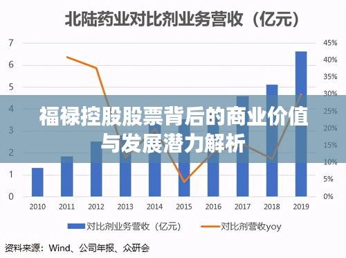 福禄控股股票背后的商业价值与发展潜力解析