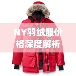 NY羽绒服价格深度解析，了解真实价格，选购更明智！