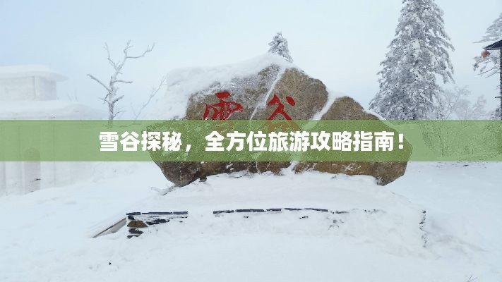 雪谷探秘，全方位旅游攻略指南！