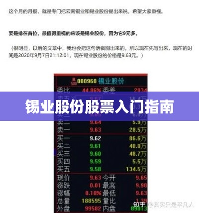 锡业股份股票入门指南