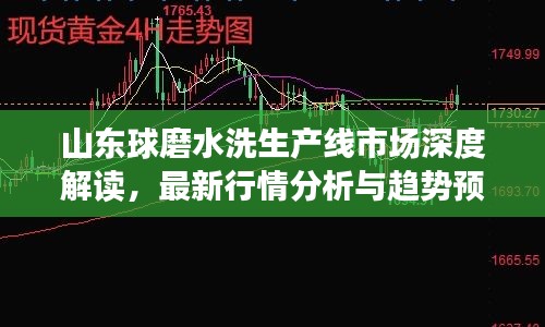 山东球磨水洗生产线市场深度解读，最新行情分析与趋势预测