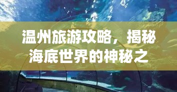 温州旅游攻略，揭秘海底世界的神秘之旅