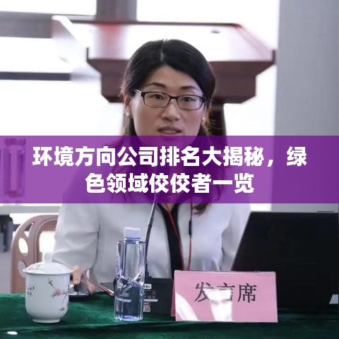 环境方向公司排名大揭秘，绿色领域佼佼者一览