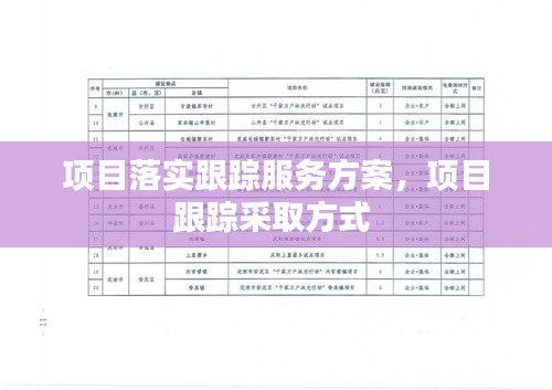 项目落实跟踪服务方案，项目跟踪采取方式 