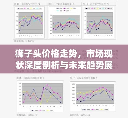 狮子头价格走势，市场现状深度剖析与未来趋势展望