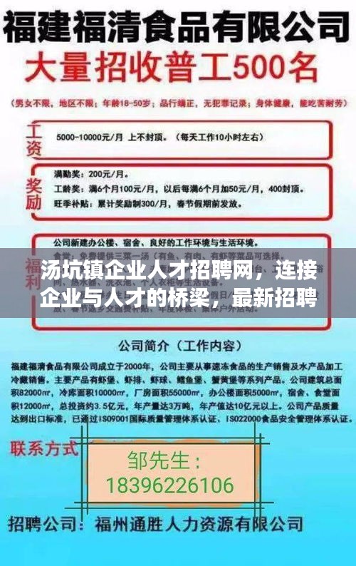 汤坑镇企业人才招聘网，连接企业与人才的桥梁，最新招聘信息一网打尽！