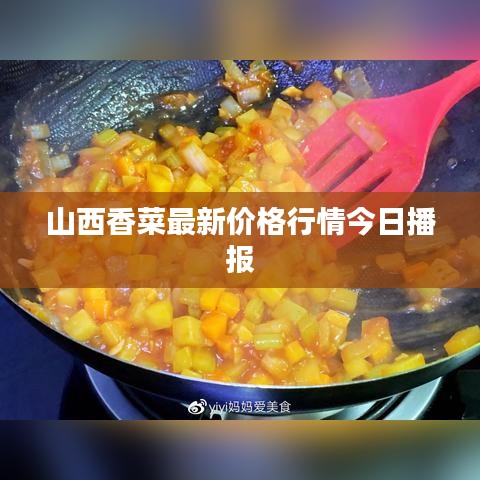 山西香菜最新价格行情今日播报