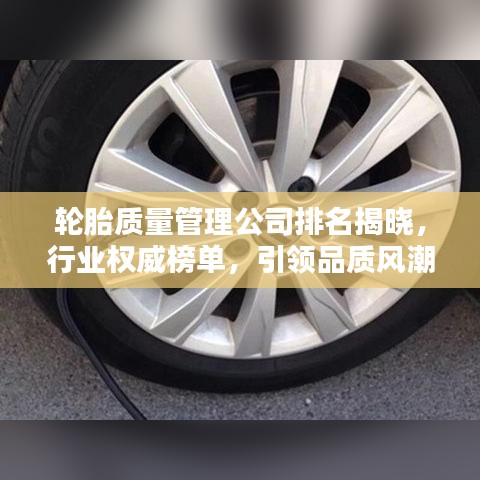 轮胎质量管理公司排名揭晓，行业权威榜单，引领品质风潮！