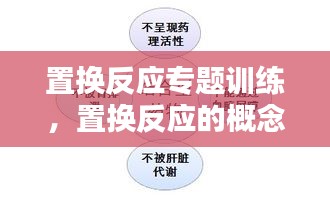 置换反应专题训练，置换反应的概念和例子 