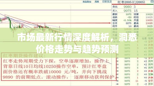 市场最新行情深度解析，洞悉价格走势与趋势预测