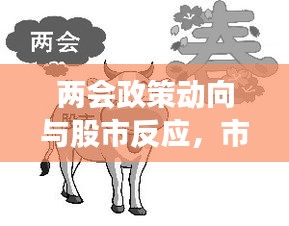 两会政策动向与股市反应，市场走势揭秘，投资机会前瞻