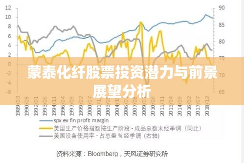 蒙泰化纤股票投资潜力与前景展望分析