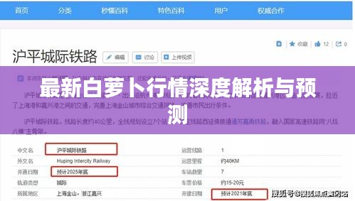 最新白萝卜行情深度解析与预测